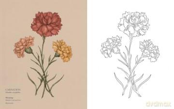 Floriography Coloring Book - Jessica Roux [KSIĄŻKA]