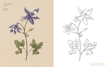 Floriography Coloring Book - Jessica Roux [KSIĄŻKA]