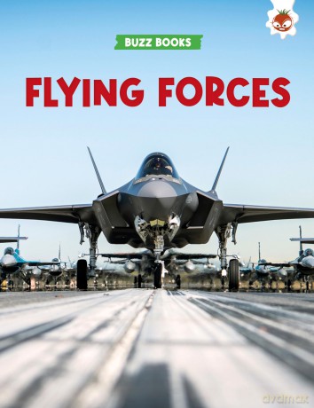 Flying Forces (Buzz Books) - Paul Stevenson [KSIĄŻKA]