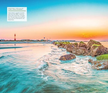 Fodor's InFocus Savannah: With Hilton Head and the Lowcountry (Full-color Travel Guide) - Fodor's Travel Guides [KSIĄŻKA]