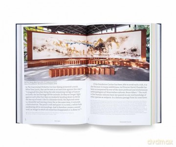 Fondation Cartier pour l'art contemporain: Voir Venir, Venir Voir - Alain Dominique Perrin [KSIĄŻKA]