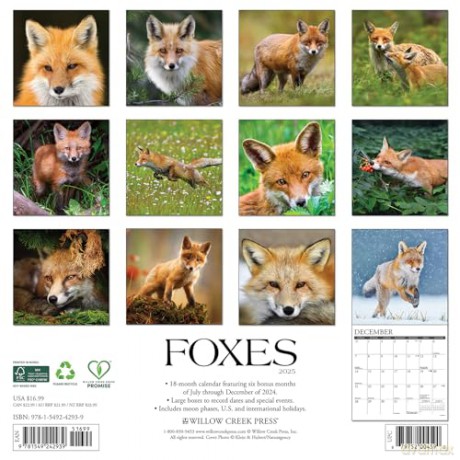 Foxes 2025 Wall [KSIĄŻKA]