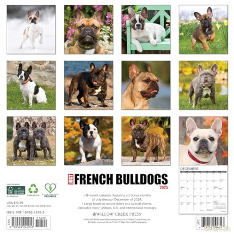 French Bulldogs 2025 Wall [KSIĄŻKA]