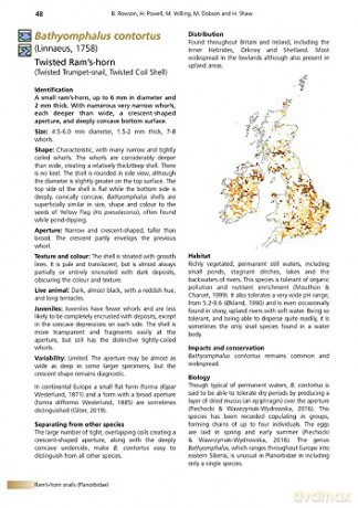 Freshwater Snails of Britain and Ireland (AIDGAP) - Ben Rowson [KSIĄŻKA]
