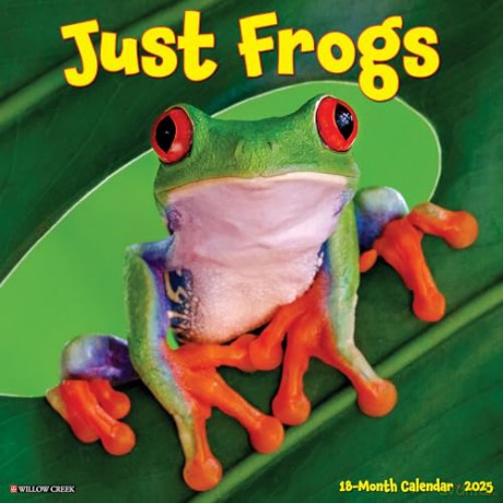 Frogs 2025 Wall [KSIĄŻKA]