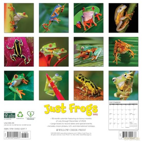 Frogs 2025 Wall [KSIĄŻKA]