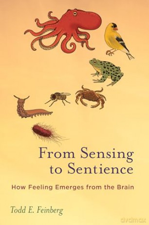 From Sensing to Sentience: How Feeling Emerges from the Brain - Todd E. Feinberg [KSIĄŻKA]