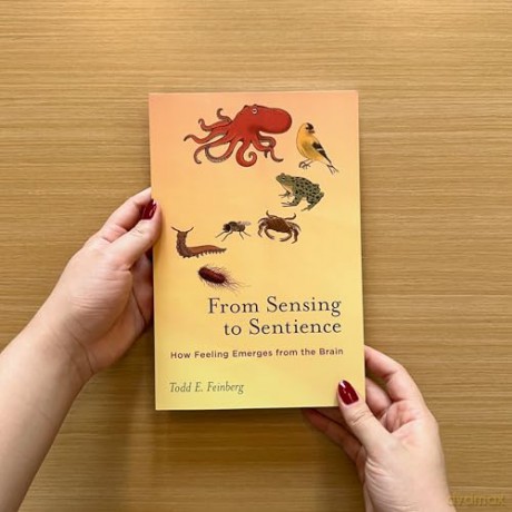 From Sensing to Sentience: How Feeling Emerges from the Brain - Todd E. Feinberg [KSIĄŻKA]