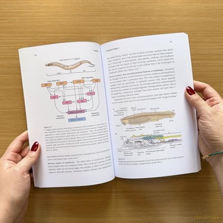From Sensing to Sentience: How Feeling Emerges from the Brain - Todd E. Feinberg [KSIĄŻKA]
