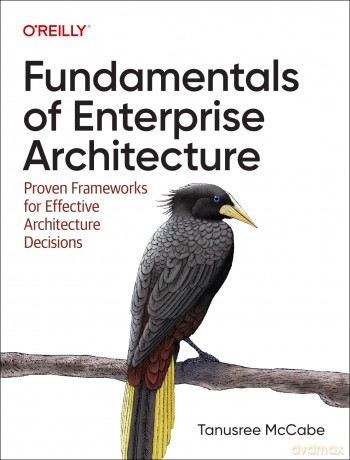 Fundamentals of Enterprise Architecture: Proven Frameworks for Effective Architecture Decisions - Tanu McCabe [KSIĄŻKA]