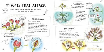 Funny Plants: Laugh-out-loud nature facts! - Paul Mason [KSIĄŻKA]