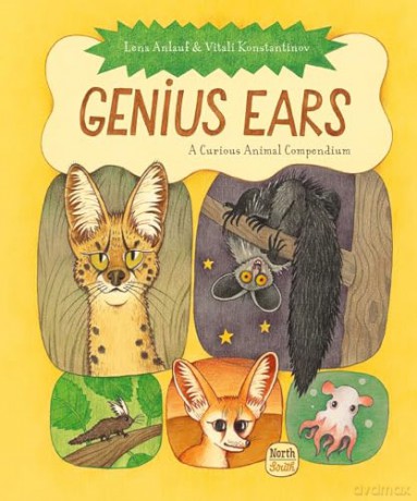 Genius Ears: A Curious Animal Compendium (Genius Animals) - Lena Anlauf [KSIĄŻKA]