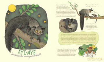 Genius Ears: A Curious Animal Compendium (Genius Animals) - Lena Anlauf [KSIĄŻKA]