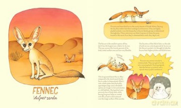Genius Ears: A Curious Animal Compendium (Genius Animals) - Lena Anlauf [KSIĄŻKA]