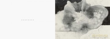 Gerhard Richter: FORICANO, 26 Drawings - Gerhard Richter [KSIĄŻKA]