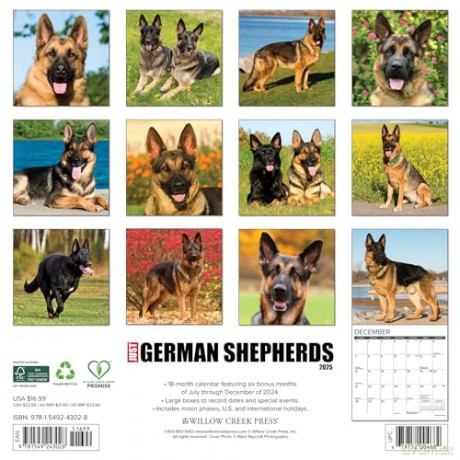 German Shepherds 2025 Wall [KSIĄŻKA]