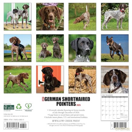 German Shorthaired Pointers 2025 Wall [KSIĄŻKA]