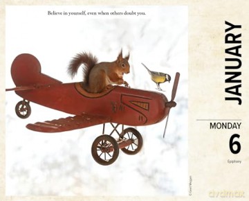 Gettin' Squirrelly 2025 Box [KSIĄŻKA]