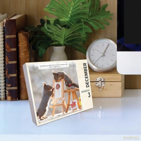 Gettin' Squirrelly 2025 Box [KSIĄŻKA]