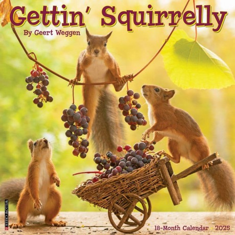 Gettin' Squirrelly 2025 Wall [KSIĄŻKA]