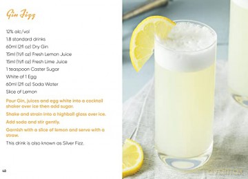 Gin Cocktails: From the Martini to the Negroni. The most popular Gin recipes (Mini) - Steve Quirk [KSIĄŻKA]