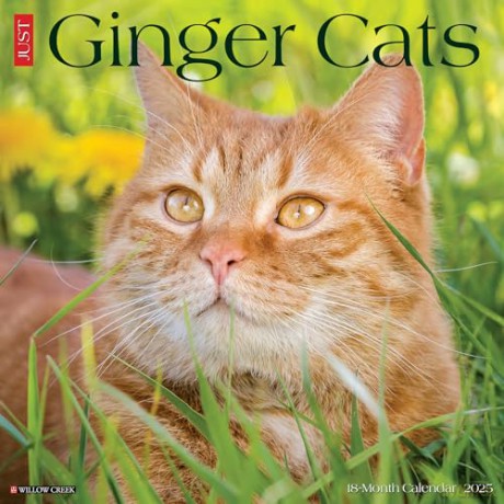 Ginger Cats 2025 Wall [KSIĄŻKA]