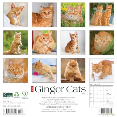 Ginger Cats 2025 Wall [KSIĄŻKA]