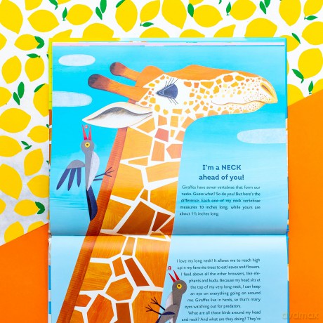 Giraffe Math - Stephen Swinburne [KSIĄŻKA]