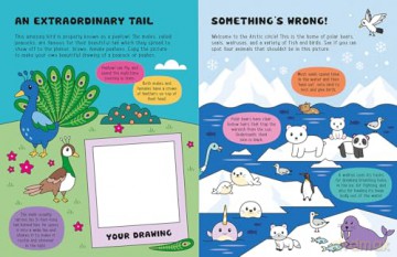Glow-in-the-Dark Animals Sticker Activity (Glow-in-the-Dark Sticker Activity Book) - Lisa Regan [KSIĄŻKA]