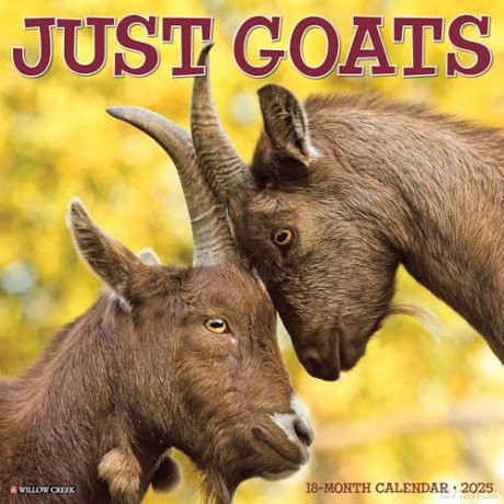 Goats 2025 Wall [KSIĄŻKA]