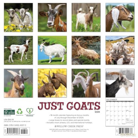 Goats 2025 Wall [KSIĄŻKA]