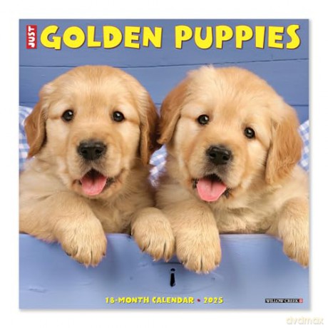 Golden Puppies 2025 Wall [KSIĄŻKA]
