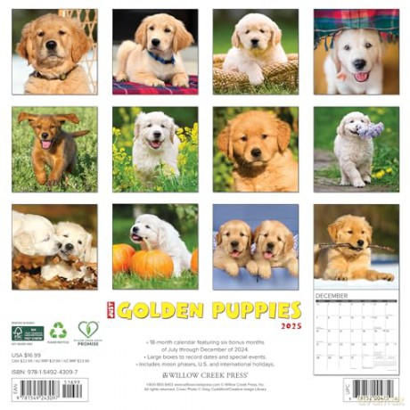 Golden Puppies 2025 Wall [KSIĄŻKA]