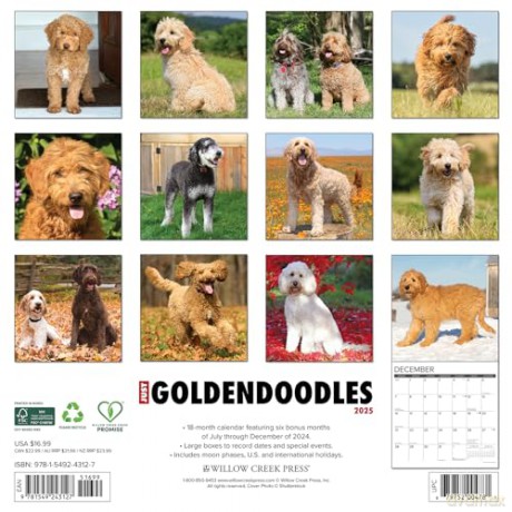 Goldendoodles 2025 Wall [KSIĄŻKA]