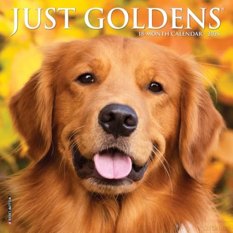 Goldens 2025 Mini [KSIĄŻKA]