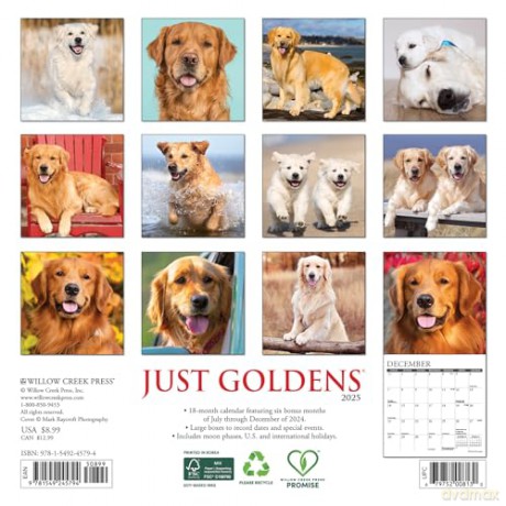 Goldens 2025 Mini [KSIĄŻKA]