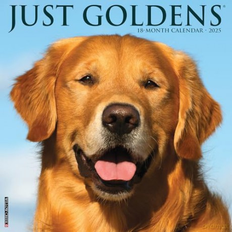 Goldens 2025 Wall [KSIĄŻKA]