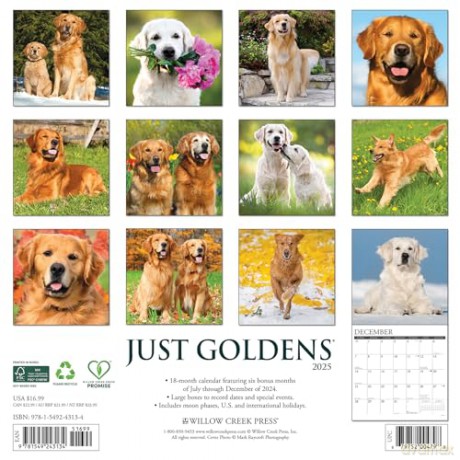 Goldens 2025 Wall [KSIĄŻKA]