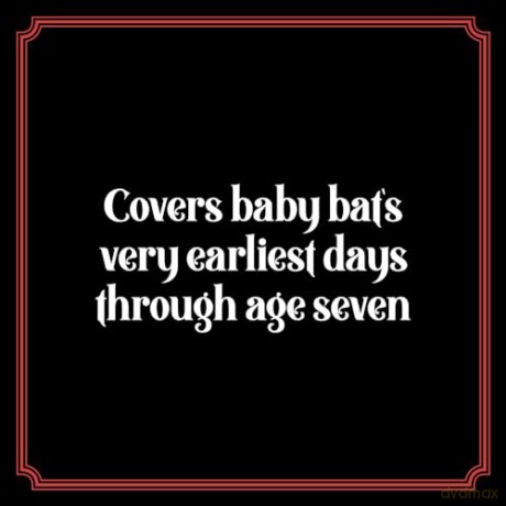 Goth Parenting: The Dark Joys of Raising Baby Bats - Casey Gilly [KSIĄŻKA]
