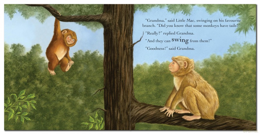 Grandma'S Little Monkey (Square Storybooks) - Gemma Cary [KSIĄŻKA]
