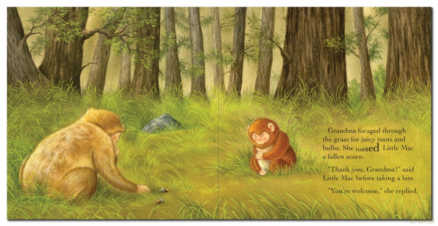 Grandma'S Little Monkey (Square Storybooks) - Gemma Cary [KSIĄŻKA]