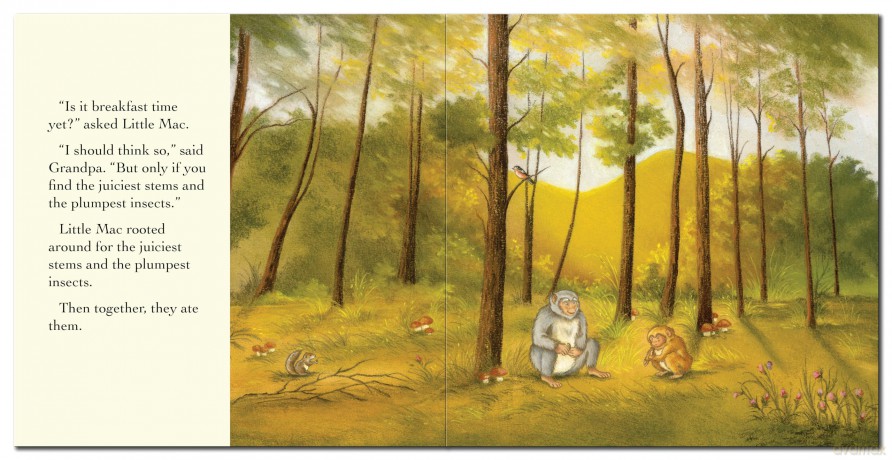 Grandpa's Little Monkey (Square Storybooks) - Gemma Cary [KSIĄŻKA]