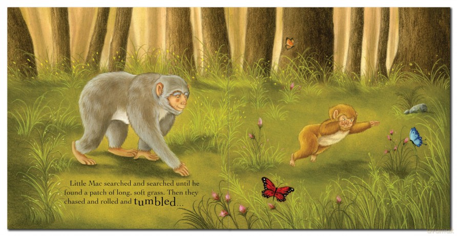 Grandpa's Little Monkey (Square Storybooks) - Gemma Cary [KSIĄŻKA]