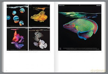 Graphis Journal Magazine 381 - B. Martin Pedersen [KSIĄŻKA]