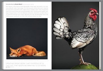 Graphis Journal Magazine 381 - B. Martin Pedersen [KSIĄŻKA]