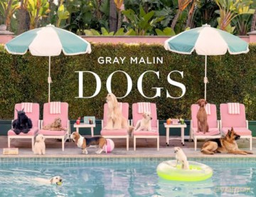 Gray Malin: Dogs: Photographs - Gray Malin [KSIĄŻKA]