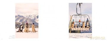 Gray Malin: Dogs: Photographs - Gray Malin [KSIĄŻKA]