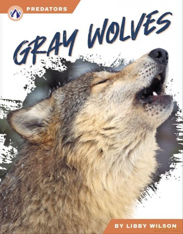 Gray Wolves (Predators Series) - Libby Wilson [KSIĄŻKA]