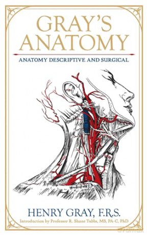 Gray's Anatomy: Anatomy Descriptive and Surgical (Leather-bound Classics) - Dr. Henry Gray FRS [KSIĄŻKA]