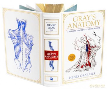 Gray's Anatomy: Anatomy Descriptive and Surgical (Leather-bound Classics) - Dr. Henry Gray FRS [KSIĄŻKA]